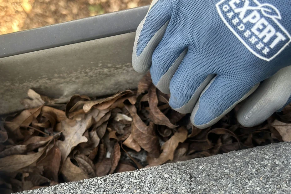 Gutter Cleaning Zacha Junction