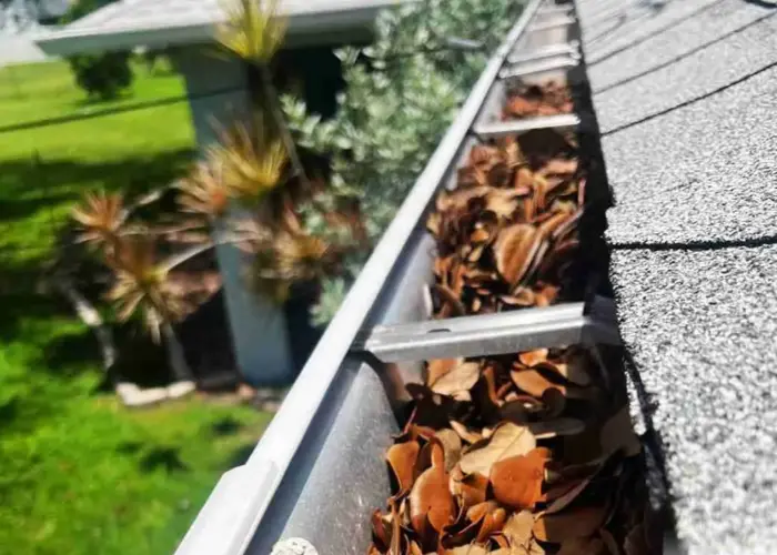 Gutter Cleaning Zacha Junction home page